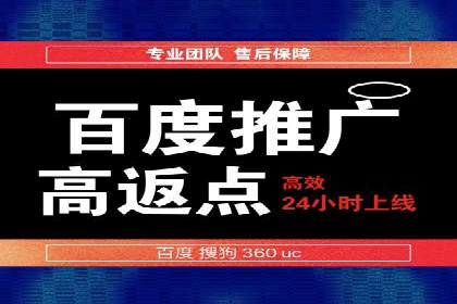 揭秘SEM竞价托管：实战案例深度解析