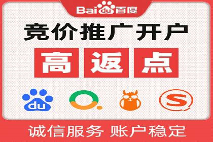 百度竞价代理操作手册：成功案例分析